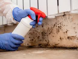 Catasauqua, PA Mold Removal Company